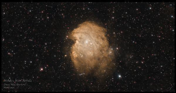 Monkey Head Nebula