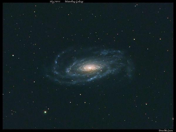Waterbug Galaxy, NGC5033